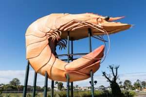 The Top 10 Things to Do in Ballina